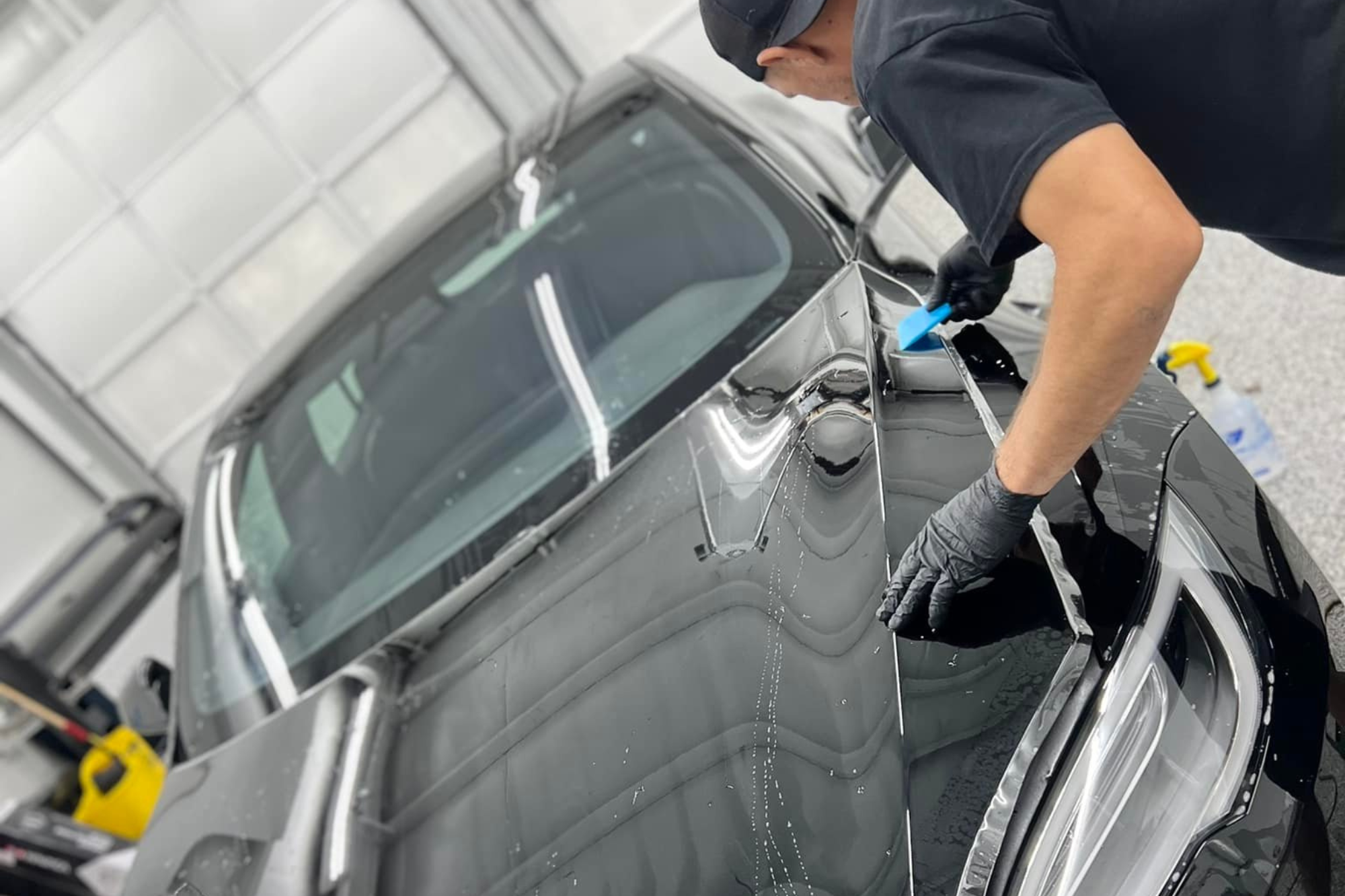 paint protection film
