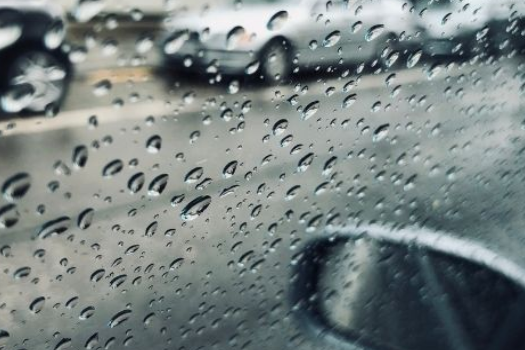 window tint