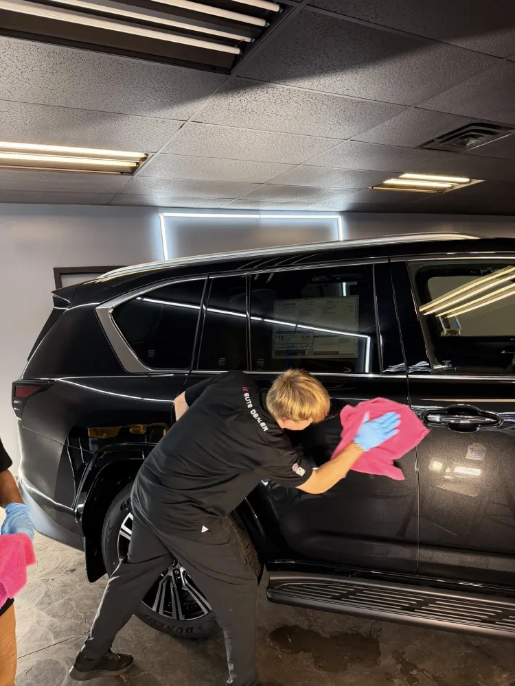 paint protection film